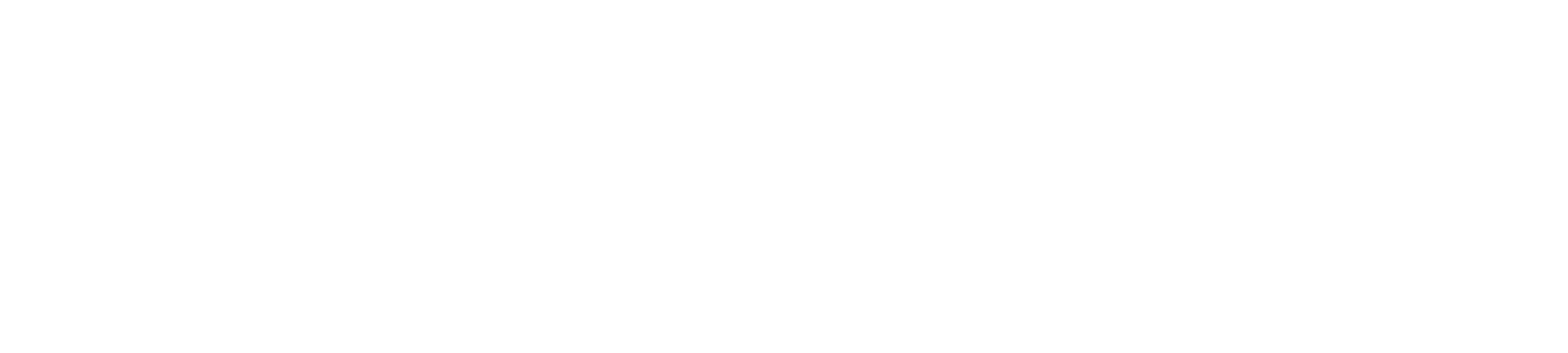 BOSTELL LLC